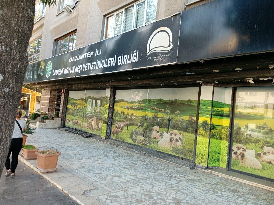Food hypermarket Breeding Sheep and Goat Breeders Association, Gaziantep, photo
