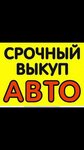 Green (SNT Lesnoye, ulitsa Karelskiy Tupik, 103), used car dealer