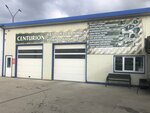 Центурион (Zheleznodorozhnaya Street, 168В), car service, auto repair