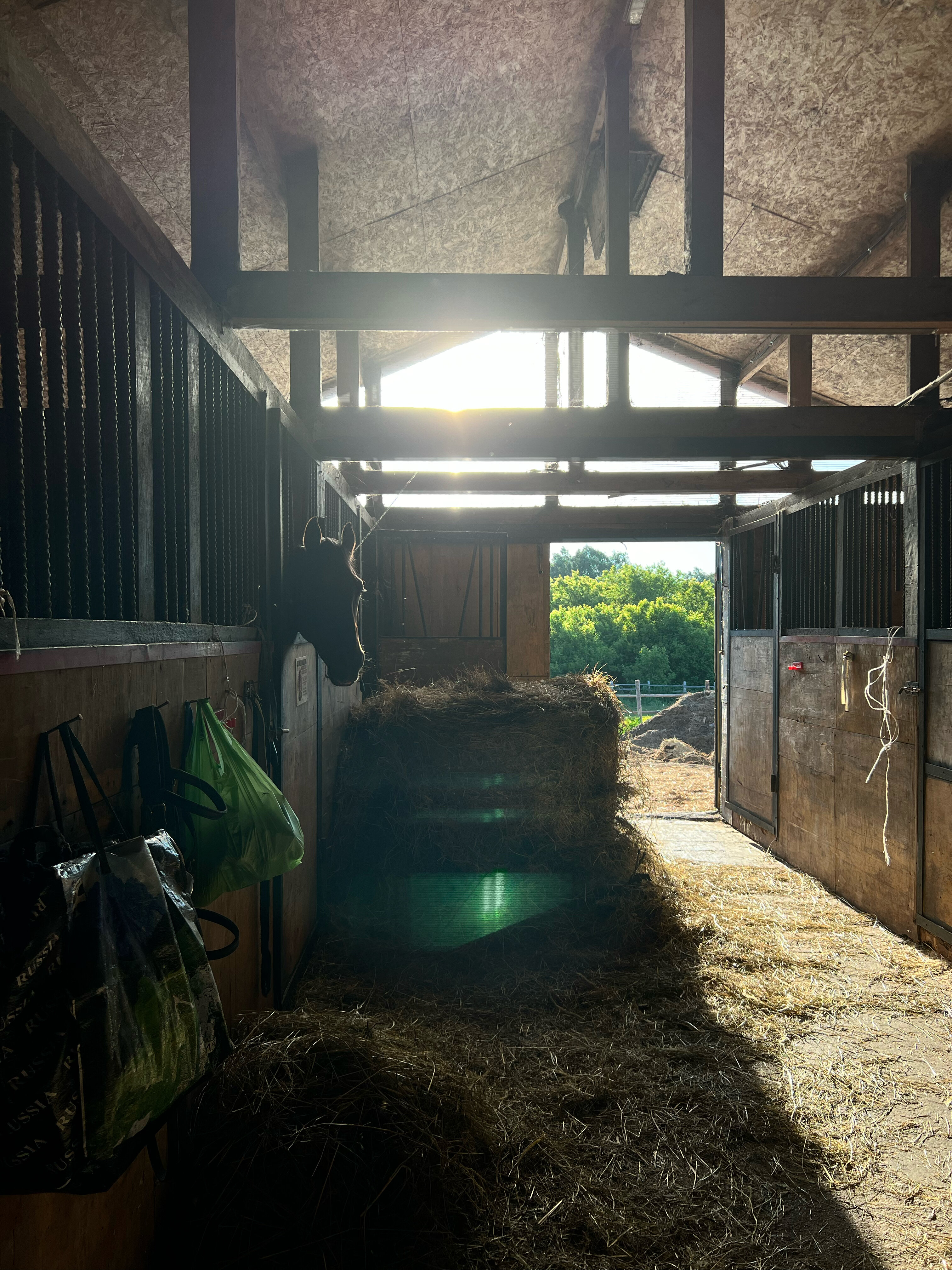 Фото Поместье Конная эстетика