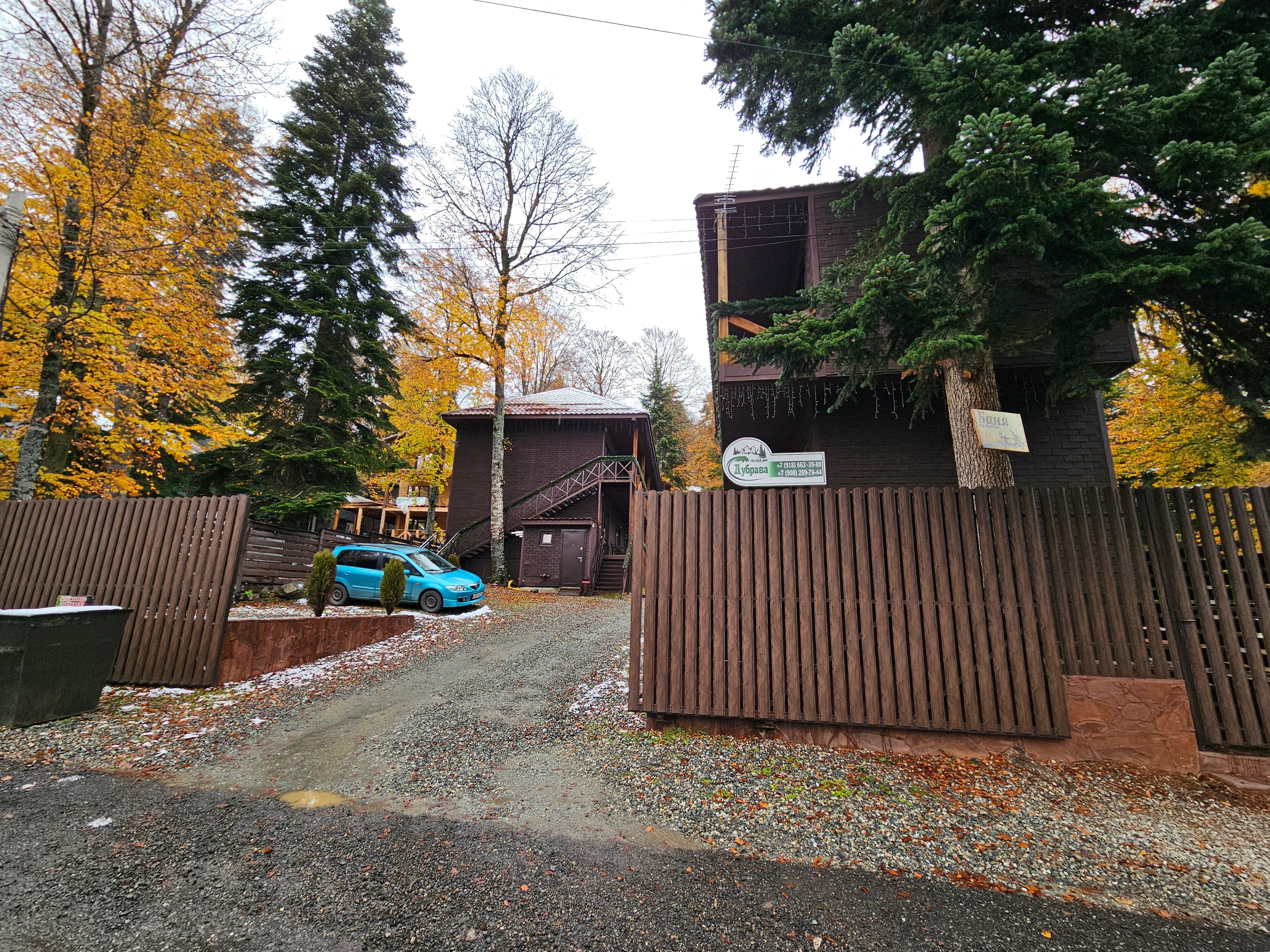 Фото Дубрава