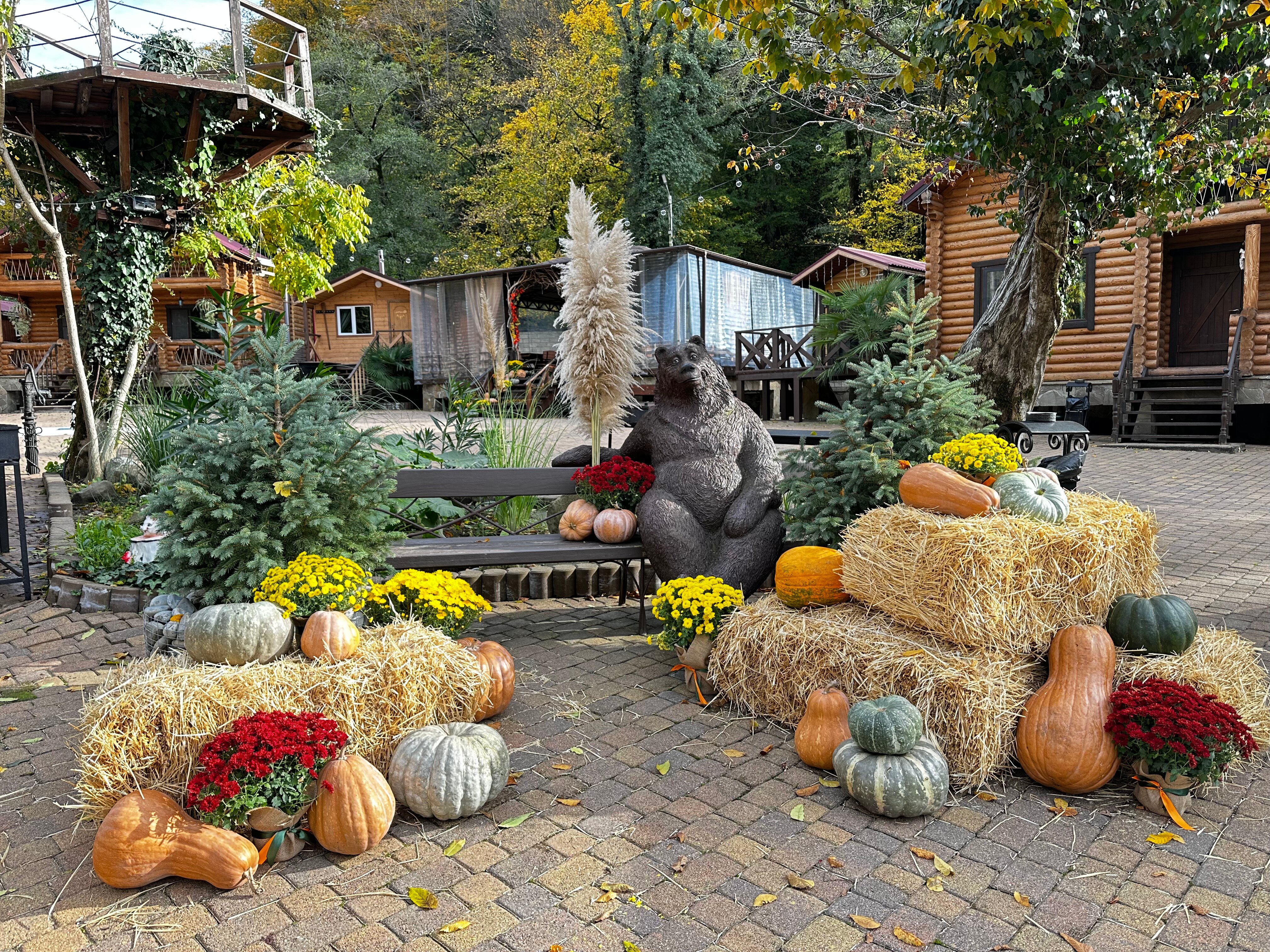 Фото Лесное поместье