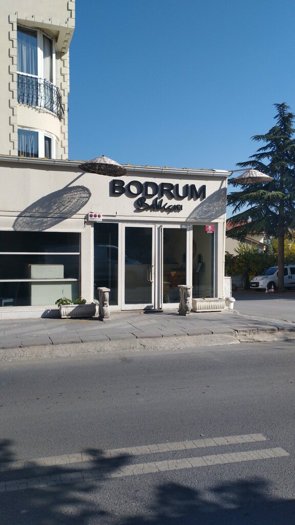 Restaurant Bodrum Balikcisi, Ankara, photo