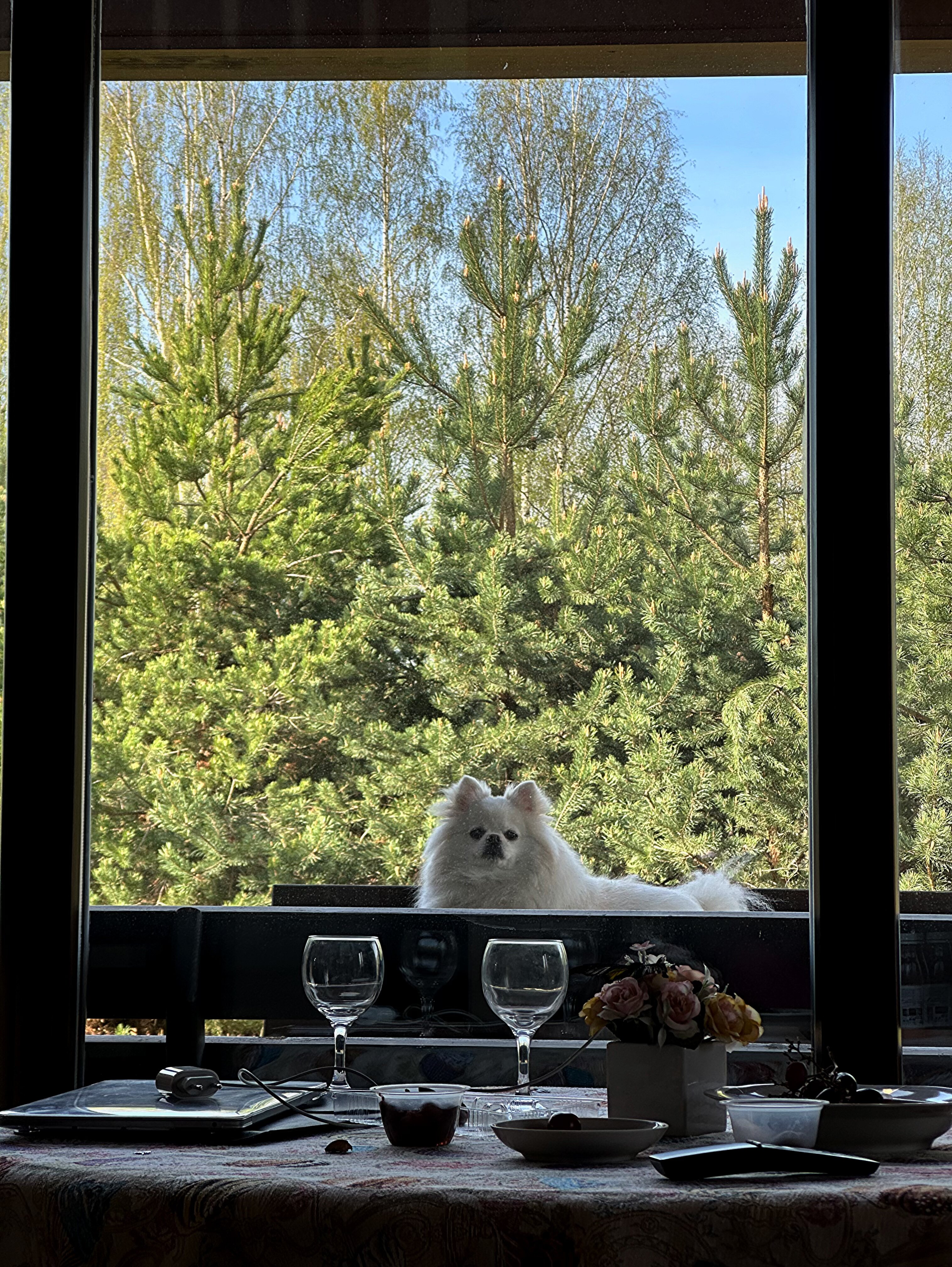 Фото Николо-поле