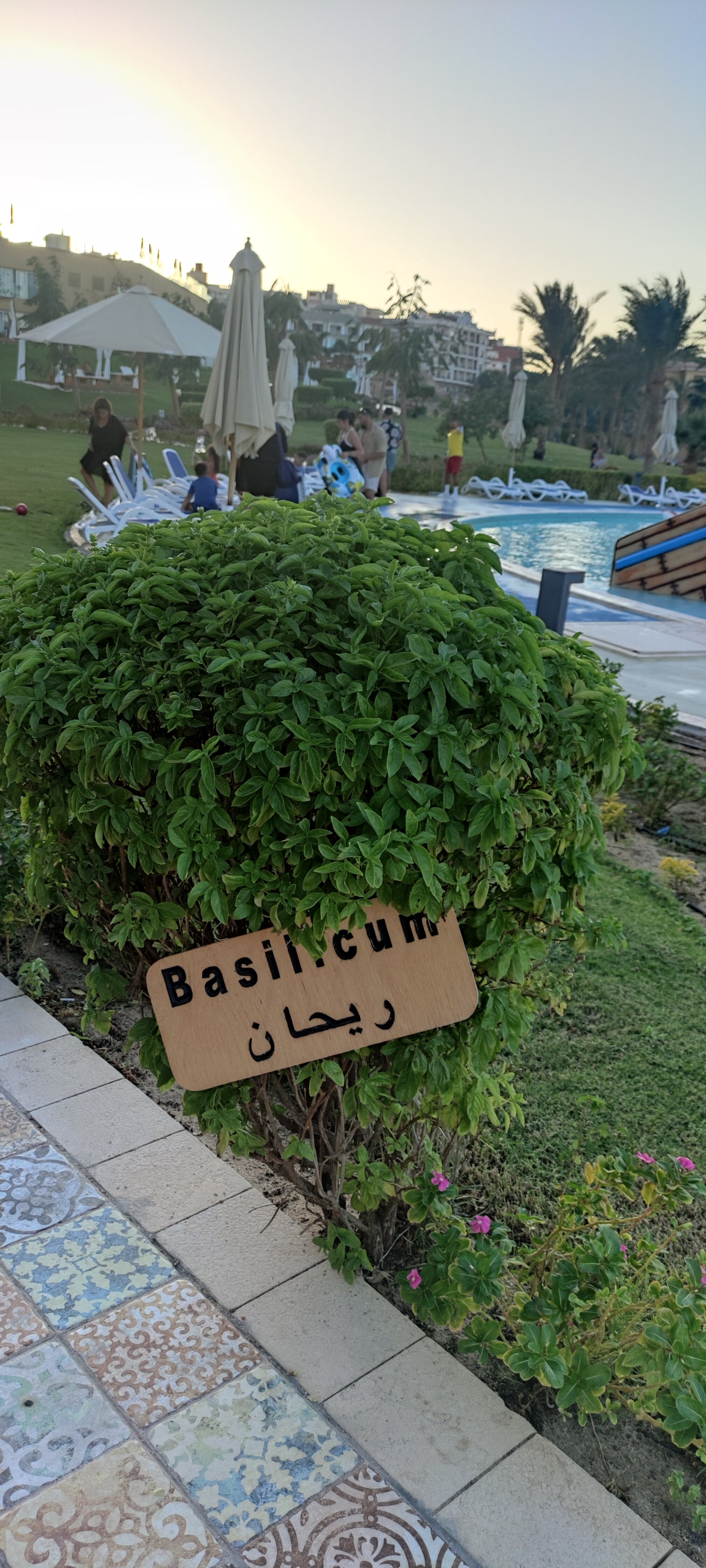 Фото Hilton Hurghada Plaza