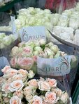 Cvetochnyj opt (Oboronnaya Street, 118), flower shop