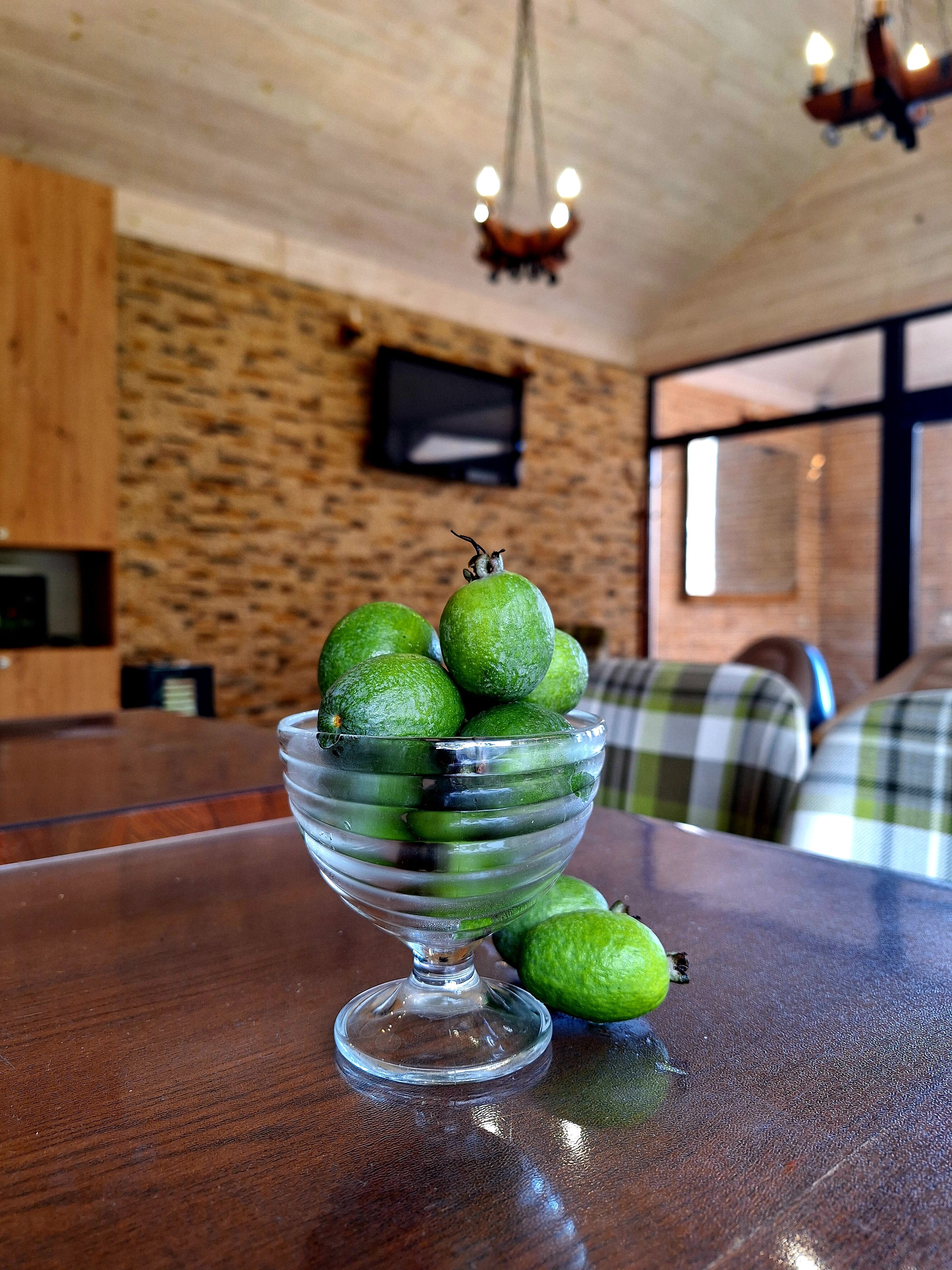 Фото Марион-1