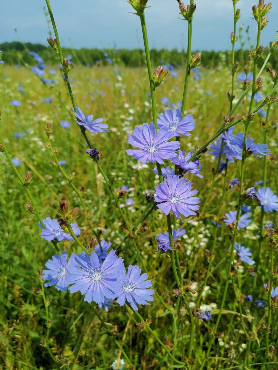 Фото Усадьба Косолапово
