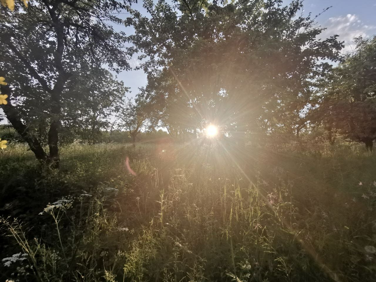 Фото Усадьба Косолапово