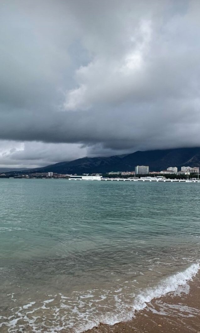 Фото Барракуда