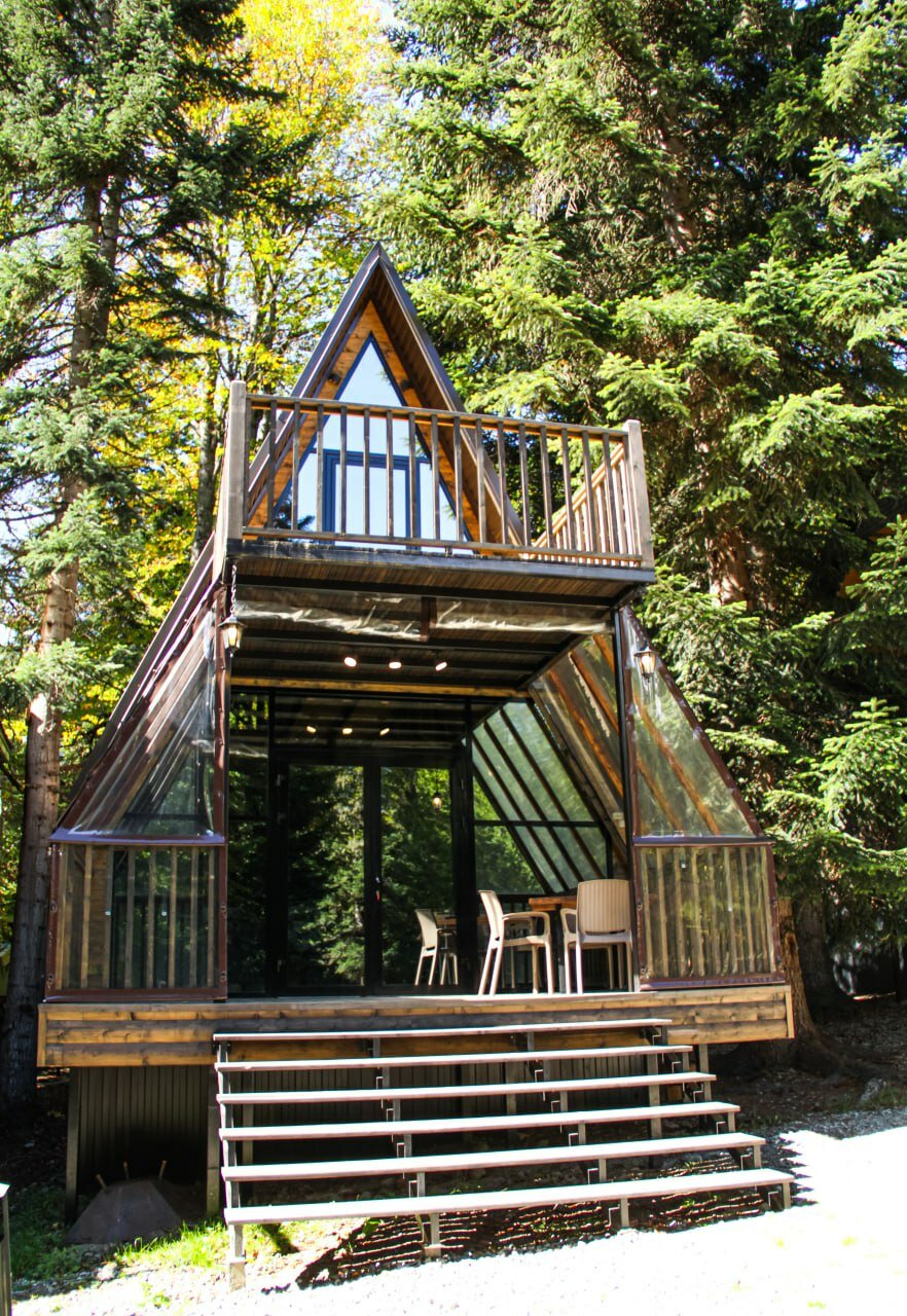 Фото Брусника