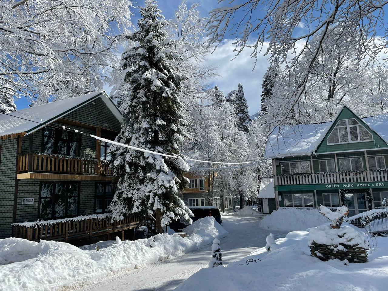 Фото Green Park Arkhyz SPA & Усадьба