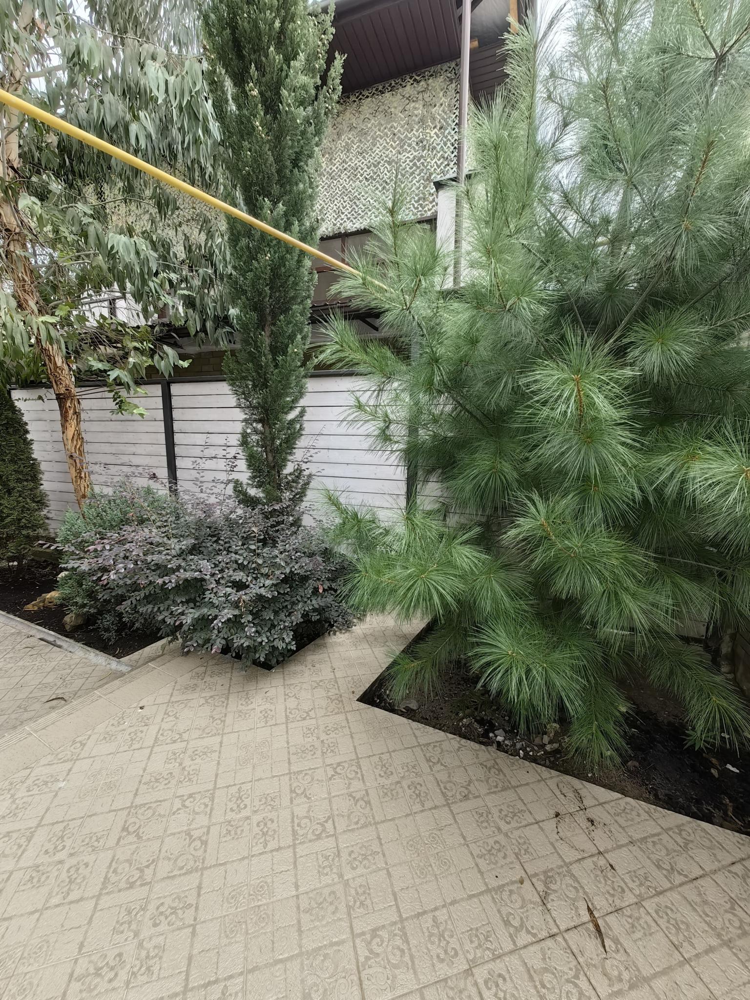 Фото Уютное жилье в СТ Лысая Гора 251б