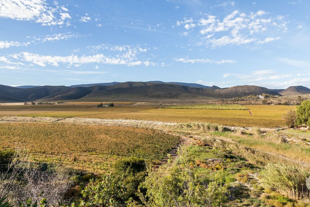 Фото Montagu Springs Resort