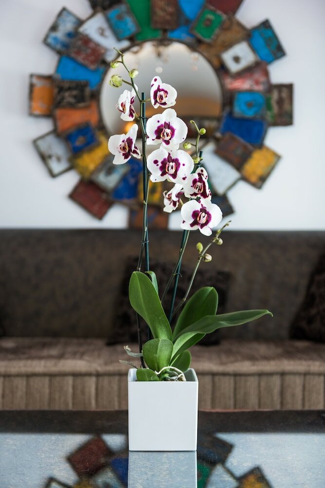 Фото Hyperion Oia Suites