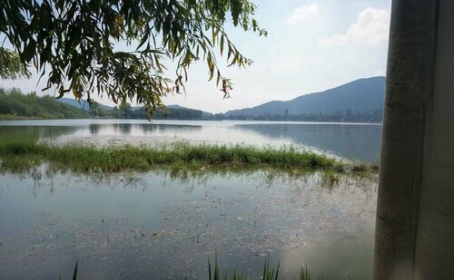 Mosque Dereağzı Neighborhood Mosque, Incirliova, photo
