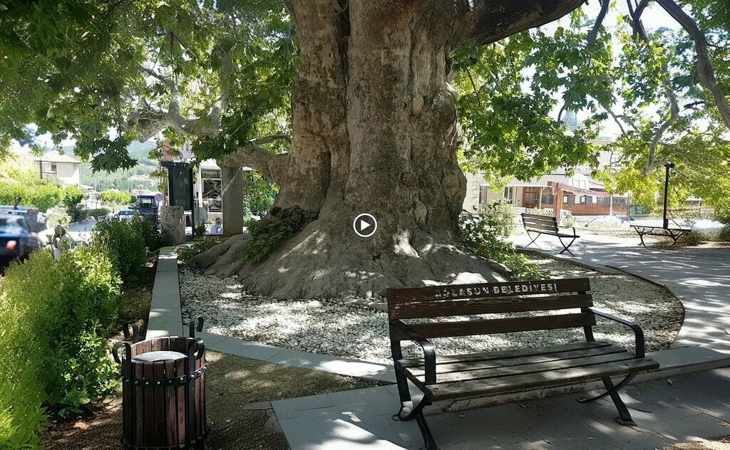 Museum Aglasun Historical Plane Tree, Aglasun, photo