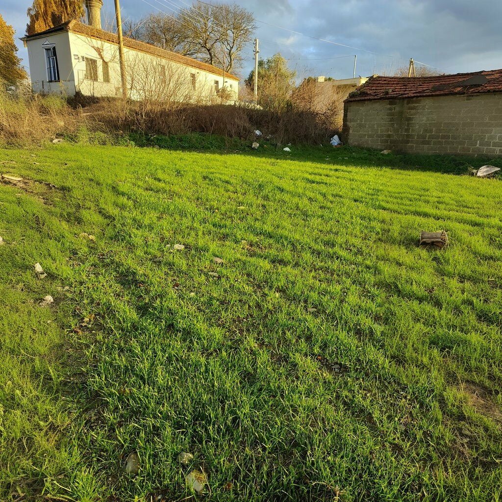 Primary school Duzce Primary School, Seferihisar, photo