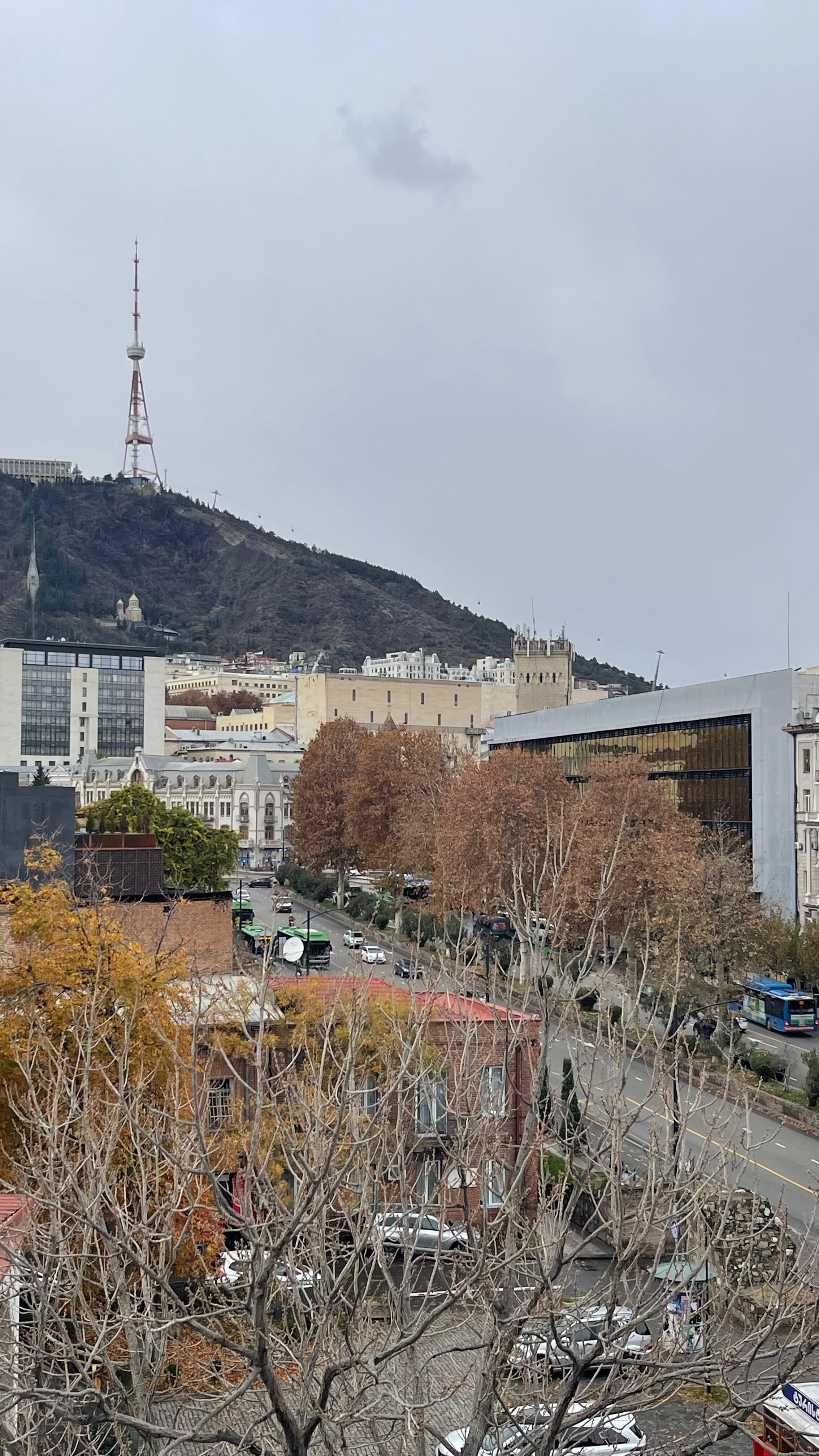 Фото Crowne Plaza Borjomi 