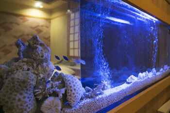 Гостиница Hotel Atlantis Higashiosaka -Adults Only
