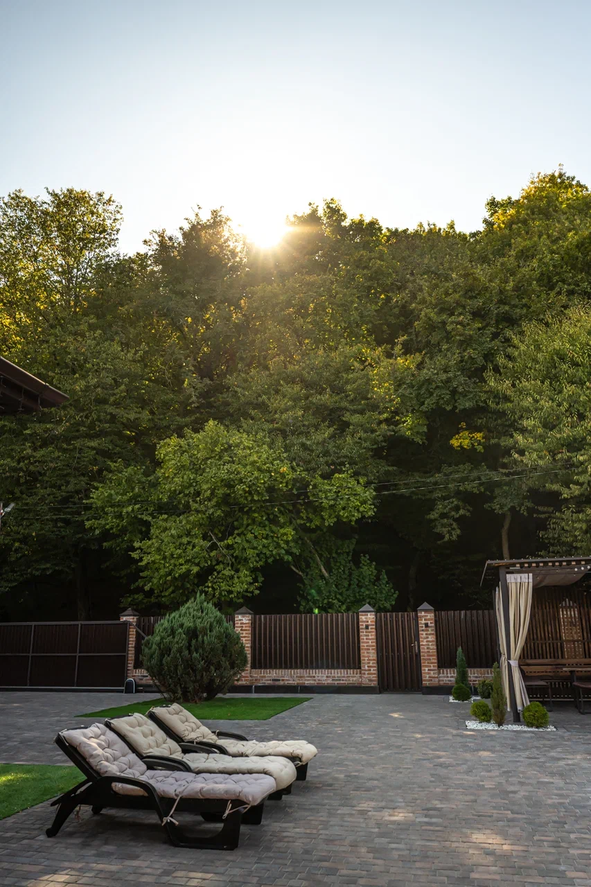 Фото Green forest