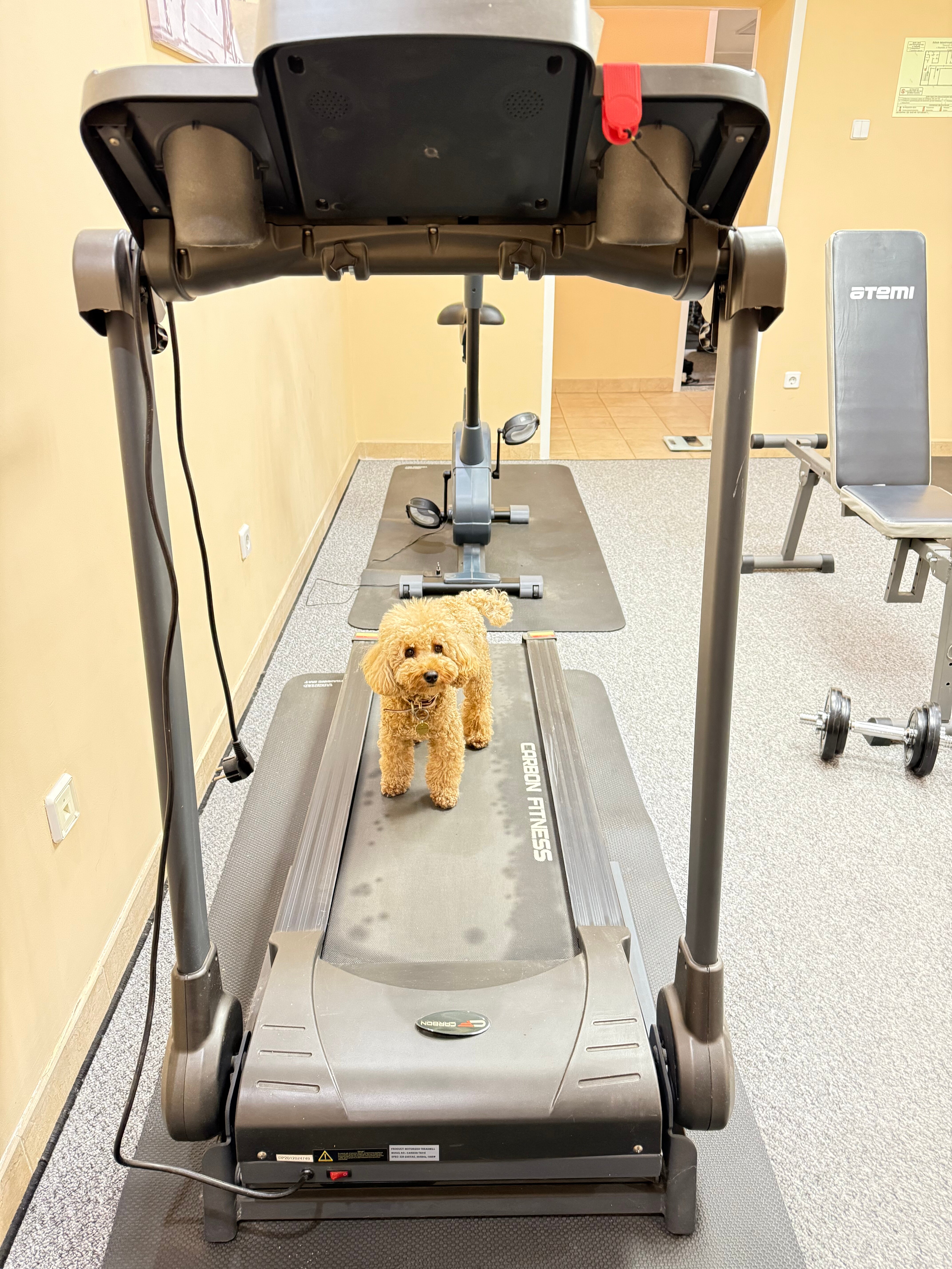 Фото Симбирск