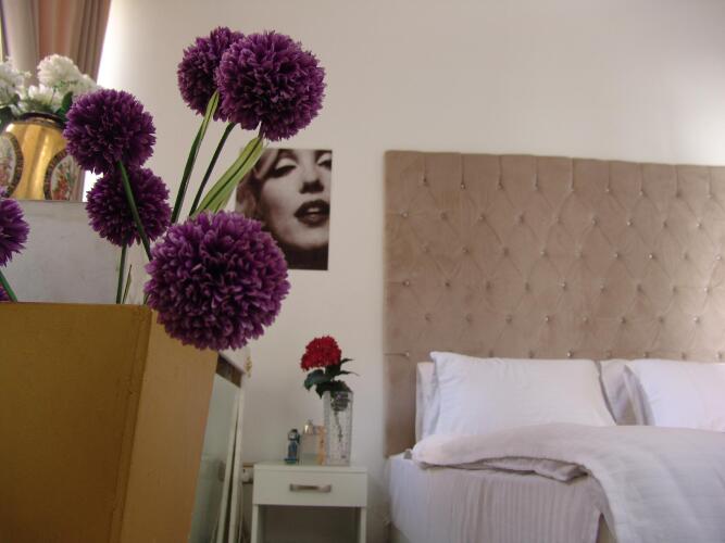 Фото Velvet Hotel