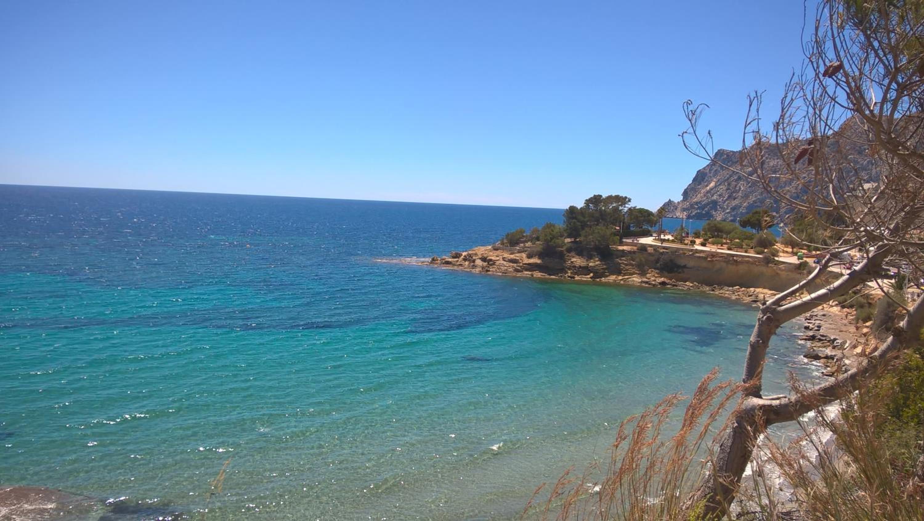 Фото Apartamentos Coral Beach