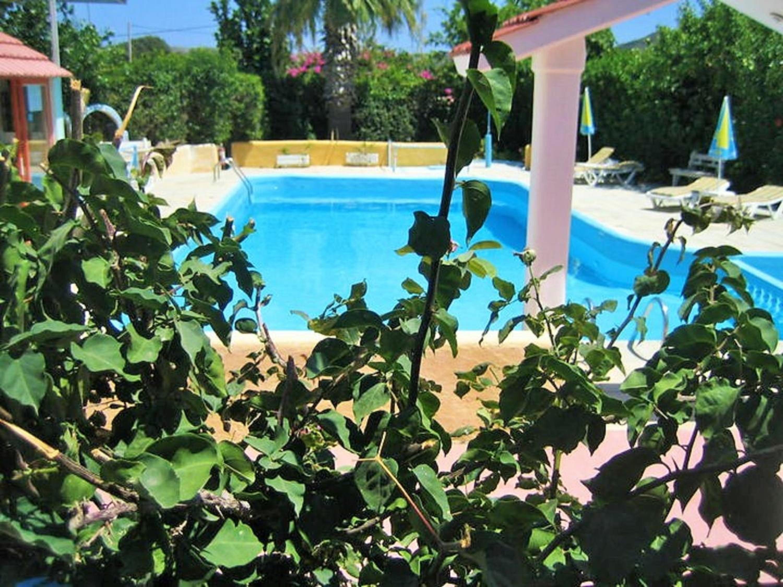 Фото Villa Sofia