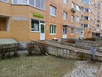 Avokado (Pushkina Street, 24к2) ، محل بقالة