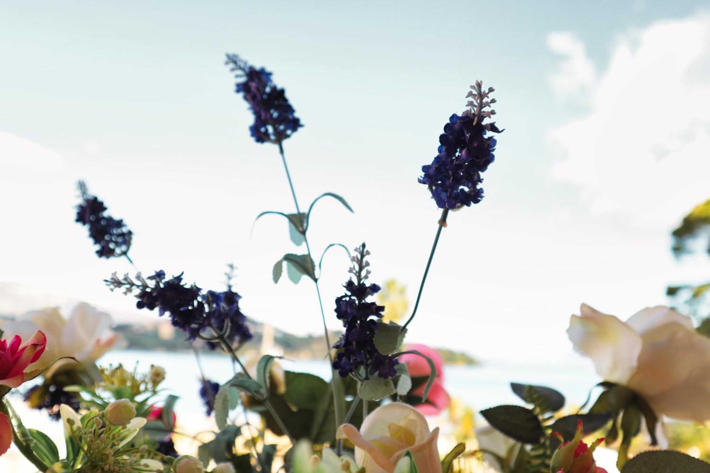 Фото Hotel Sirena Beach