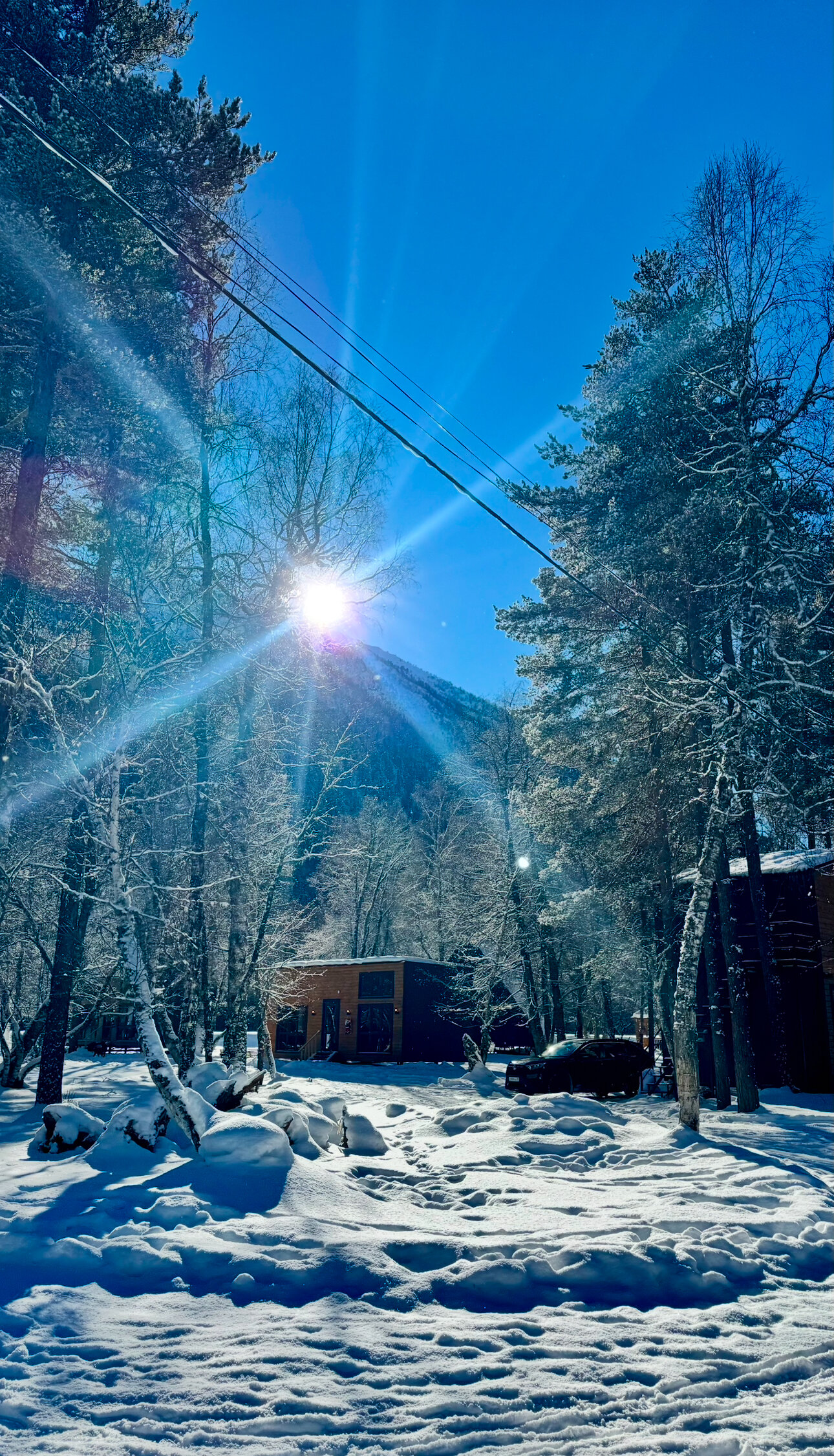 Фото Терра Glamp