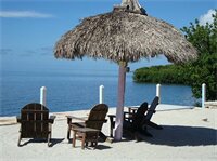 Фото Drop Anchor