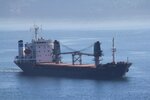 Akya Denizcilik ve Tasimacilik (İstanbul, Kadikoy, Hasanpaşa Mah., Ulusuluk Sok., 39/1), maritime agency