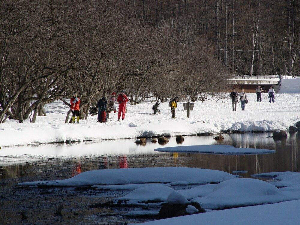 Фото Nikko Astraea Hotel