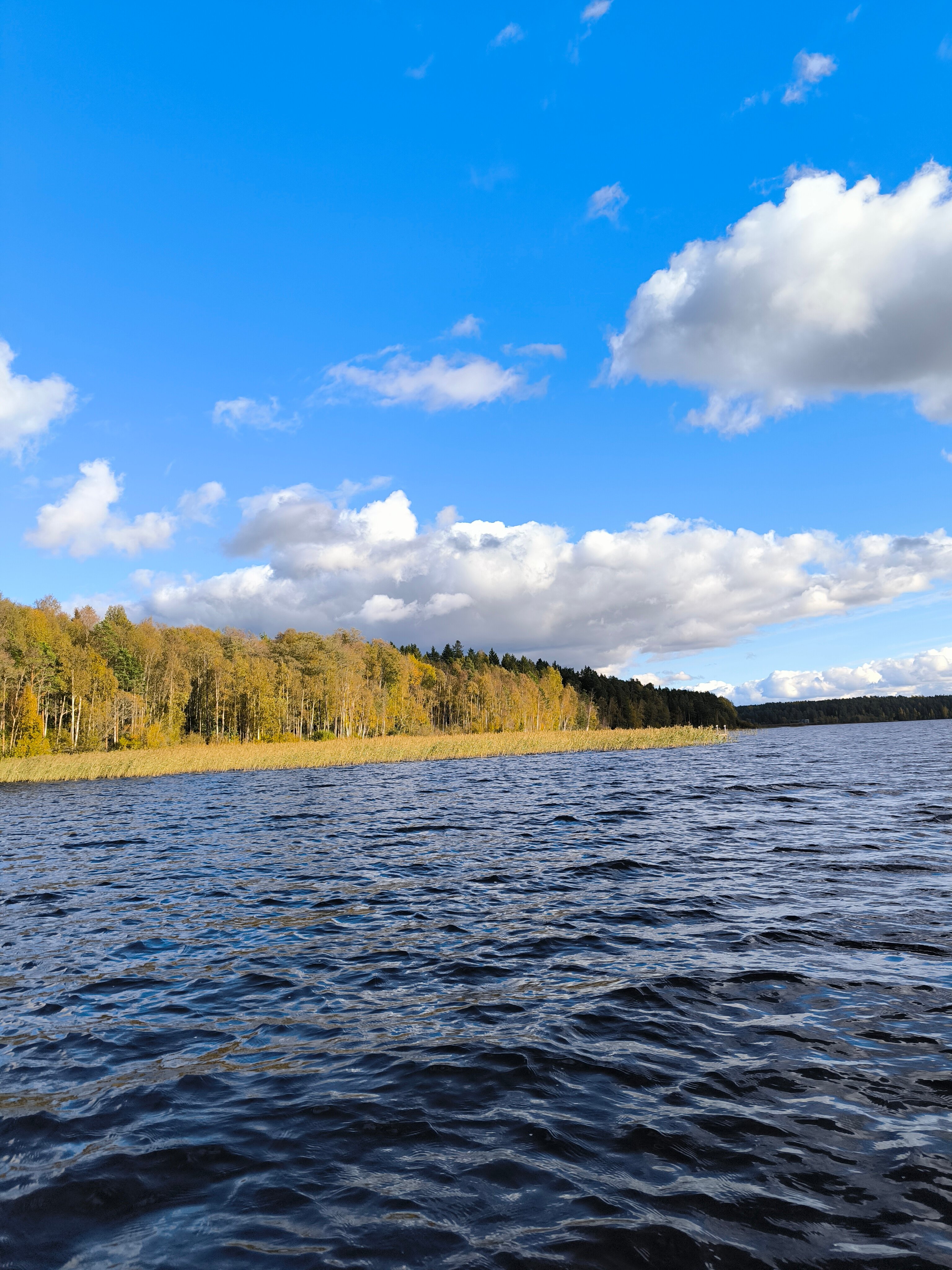 Фото Ялкала