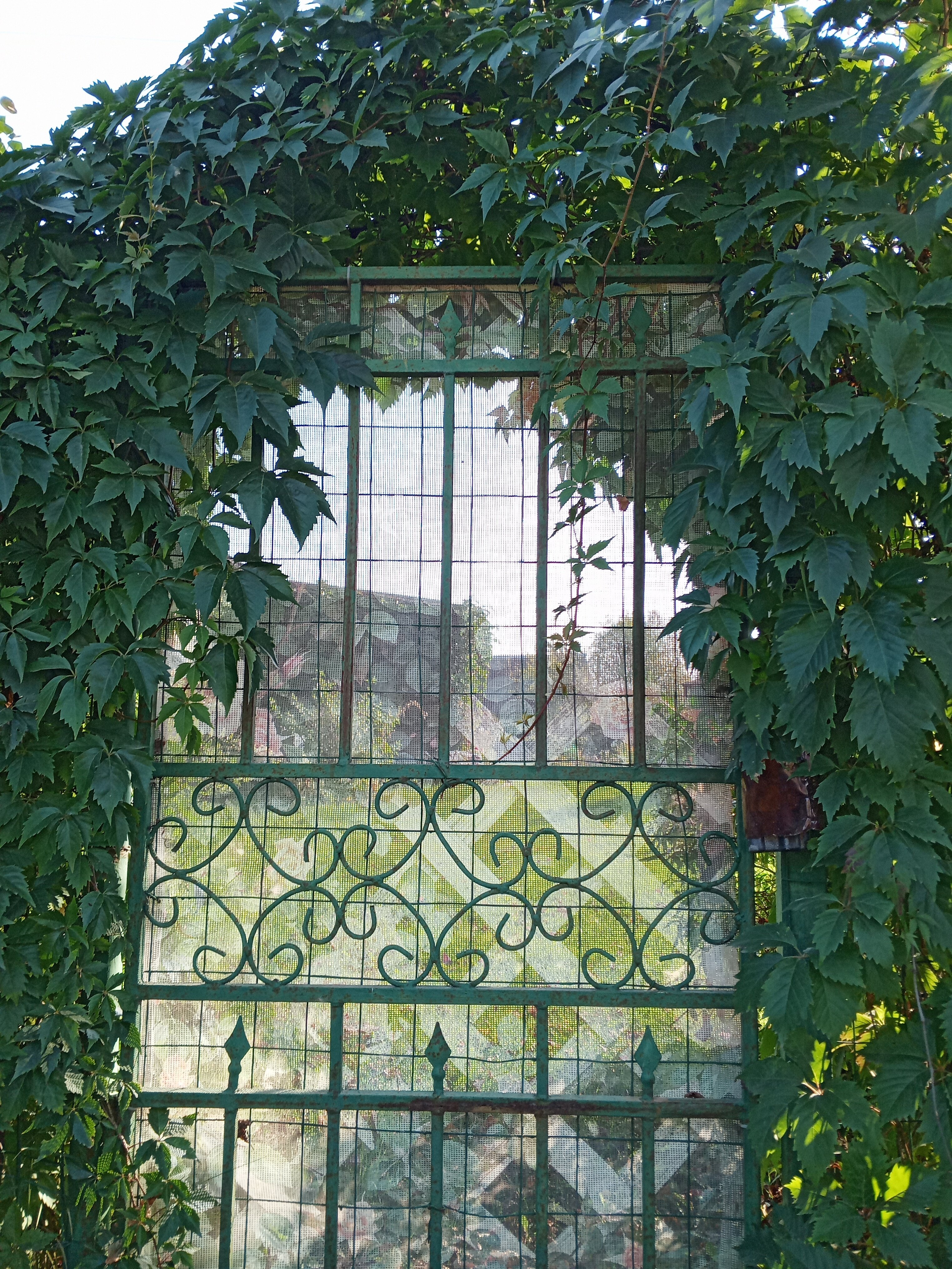 Фото Гостевой дом Спицино