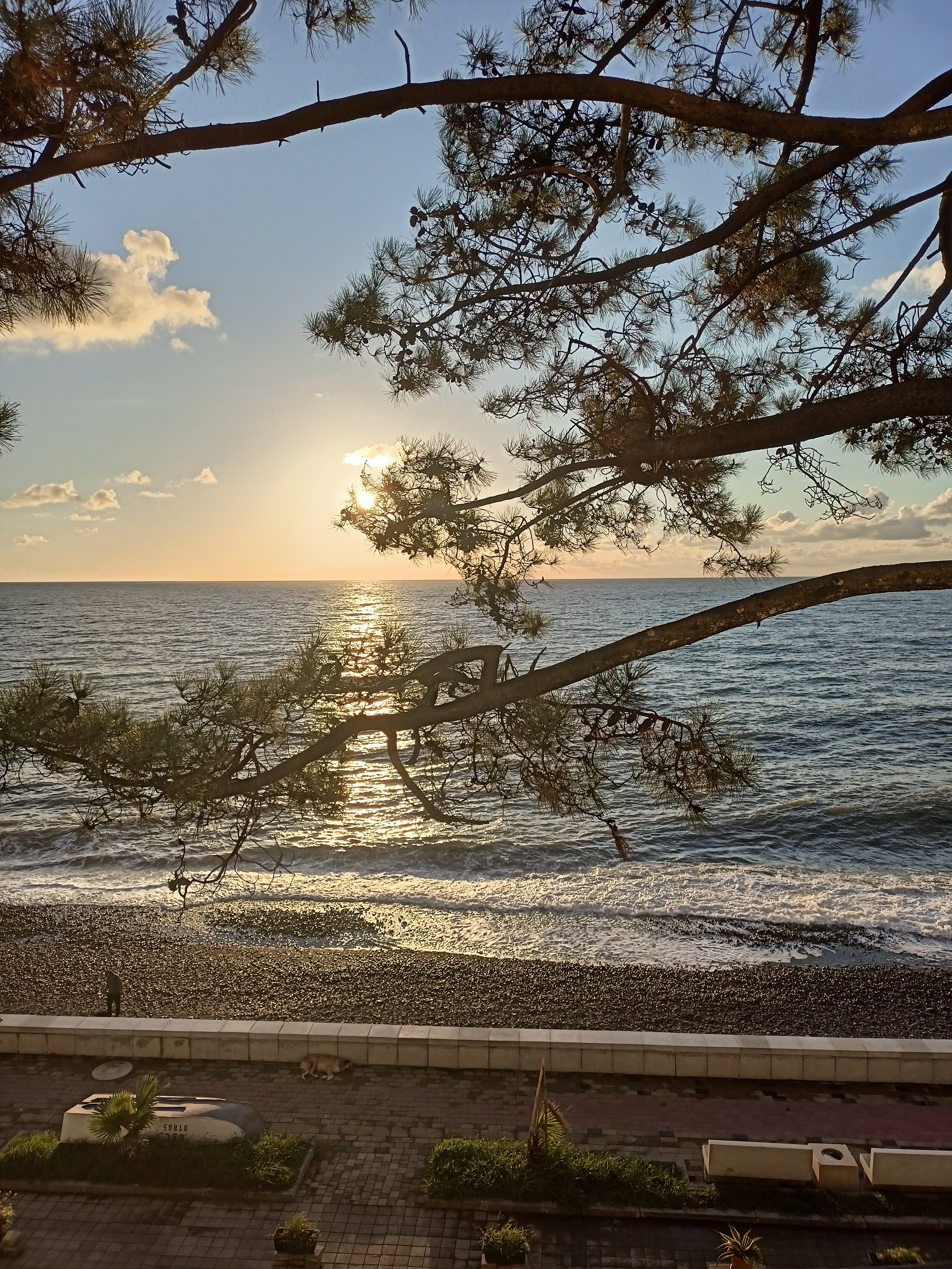 Фото Hotel Medusa