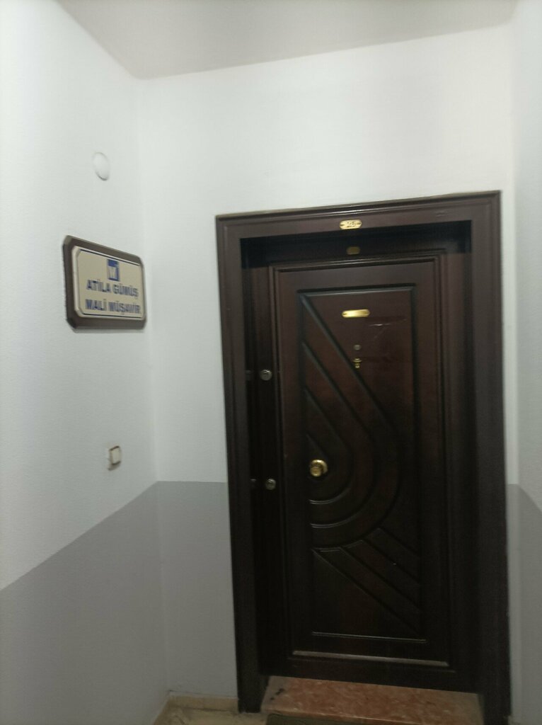 Tax consultants Atilla Silver, Antalya, photo