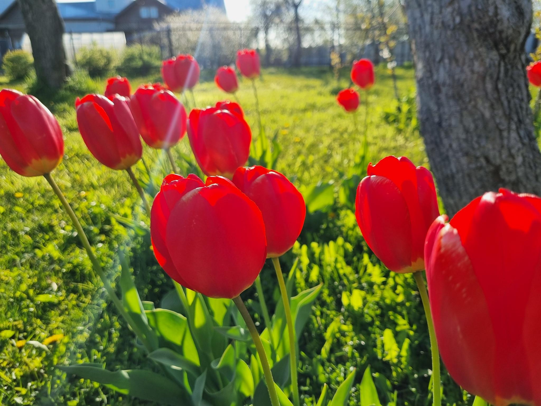 Фото Гостевой Дом Александровский