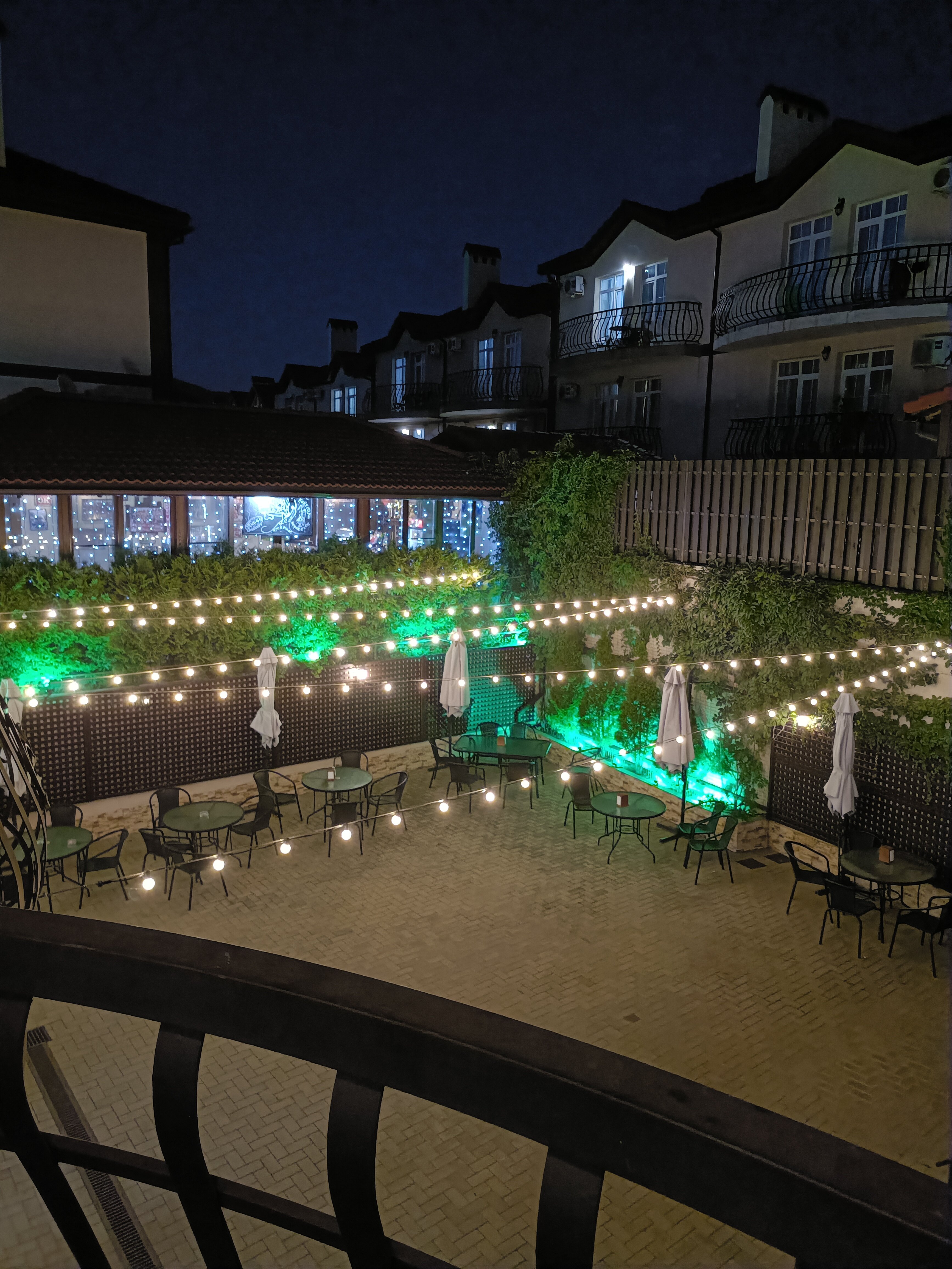 Фото Кедровая роща