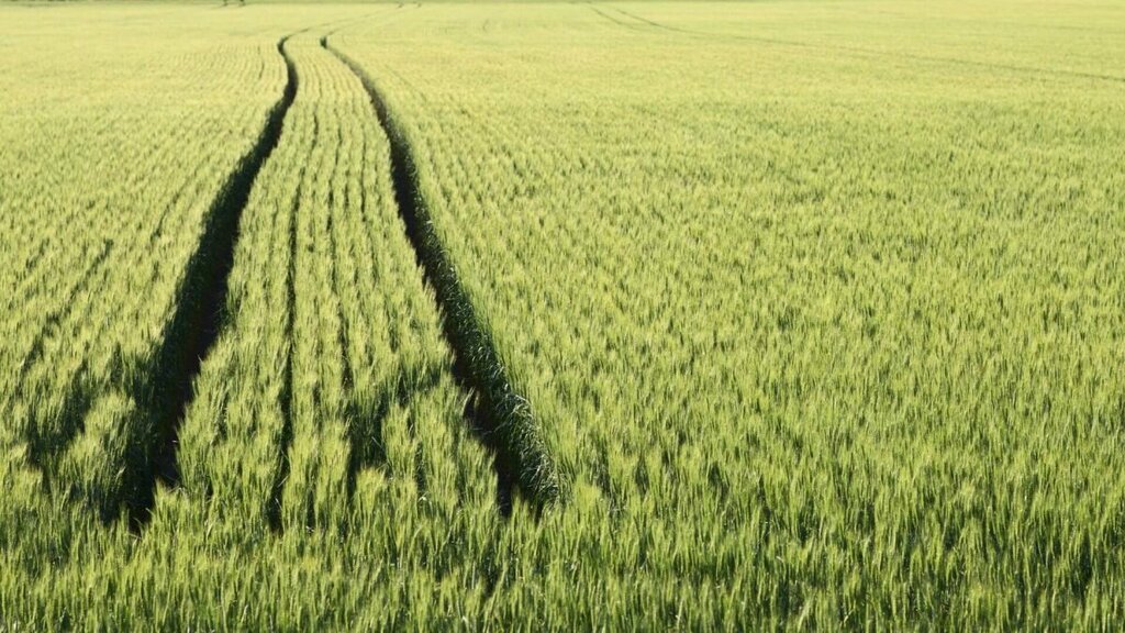 Agricultural machinery, equipment Agrocorp, Dubai, photo