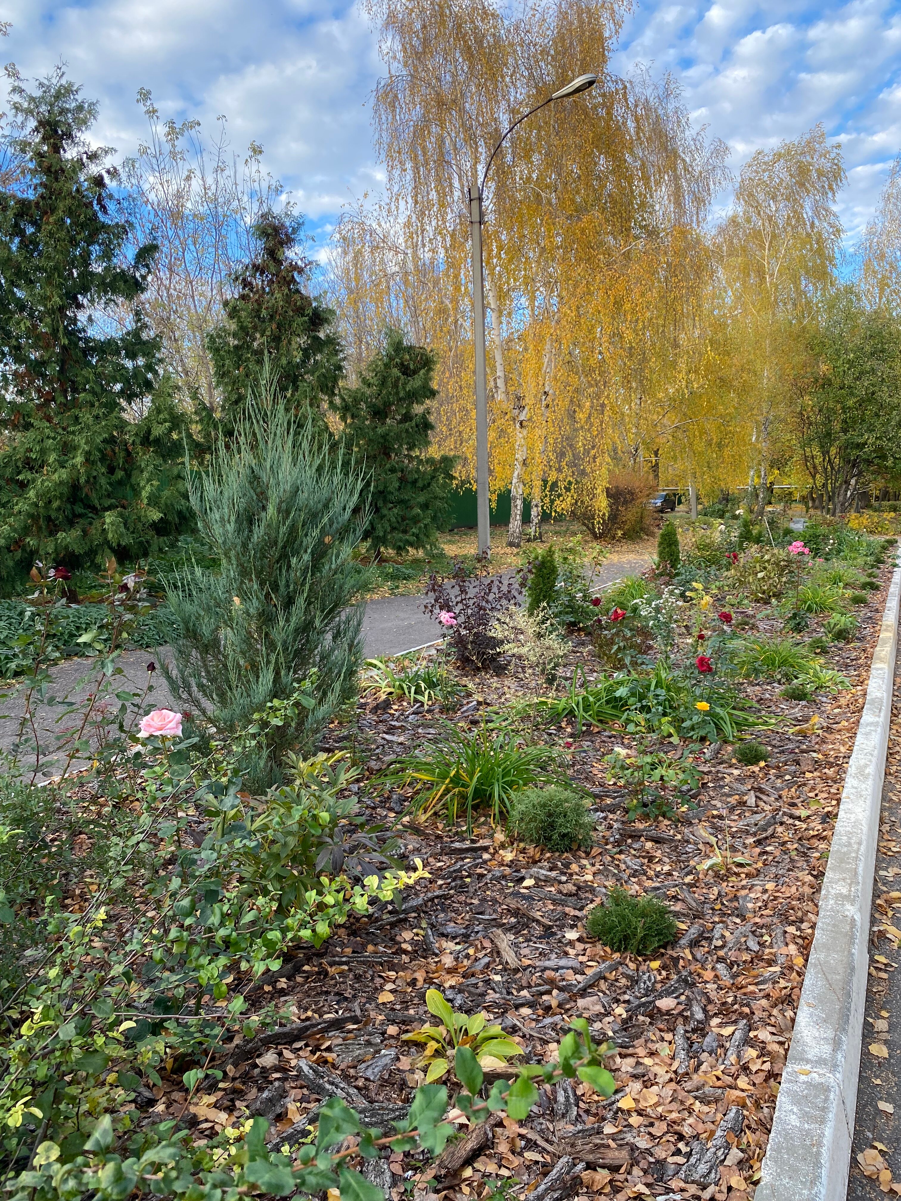 Фото Санаторий имени М.И. Калинина