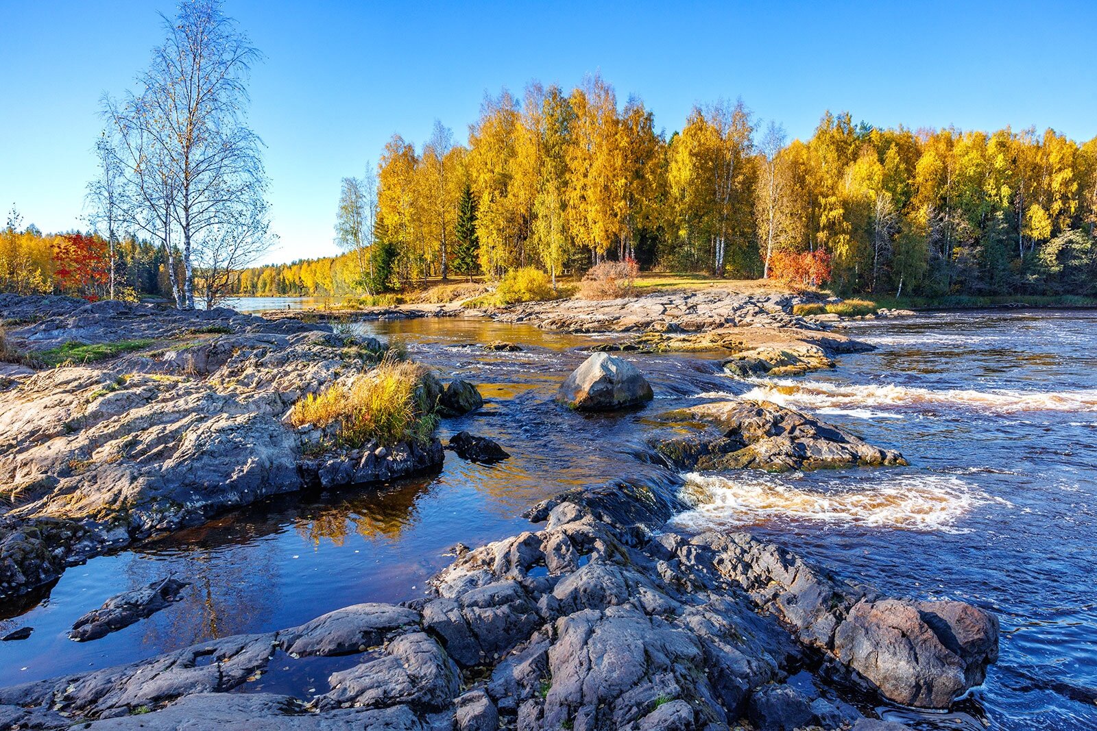 Фото Экотурсервис