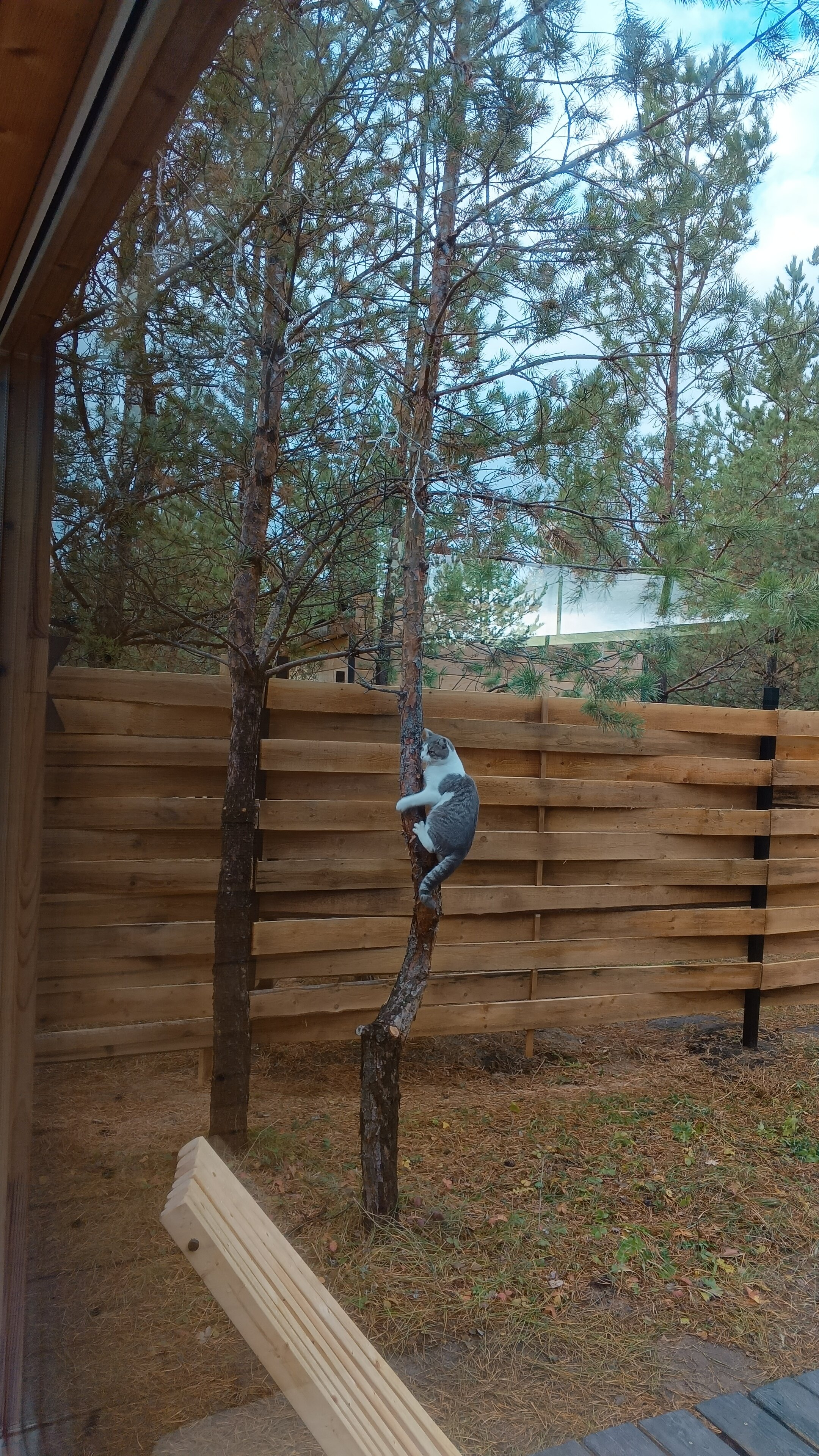 Фото Место счастья