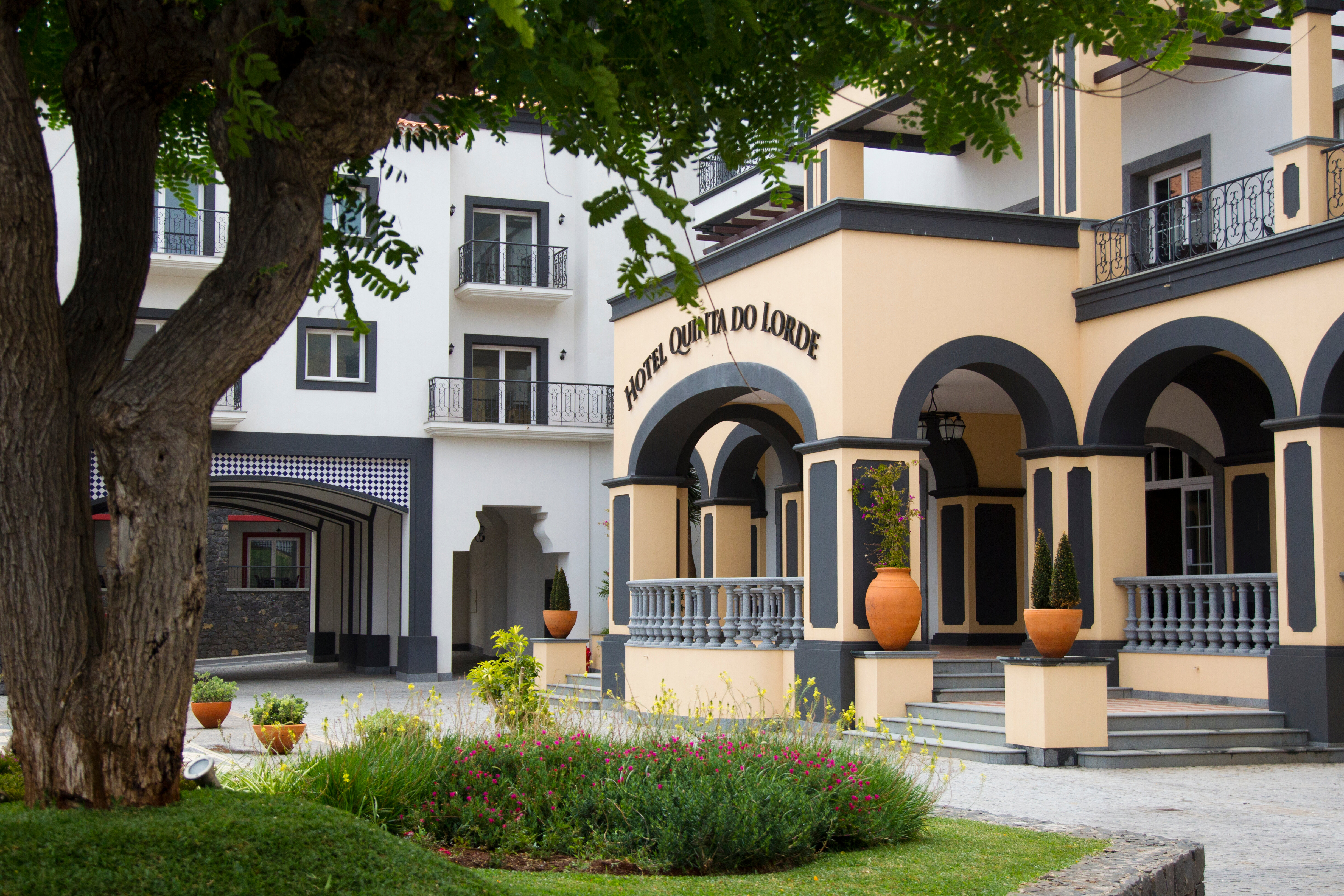 Фото Dreams Madeira Resort SPA & Marina