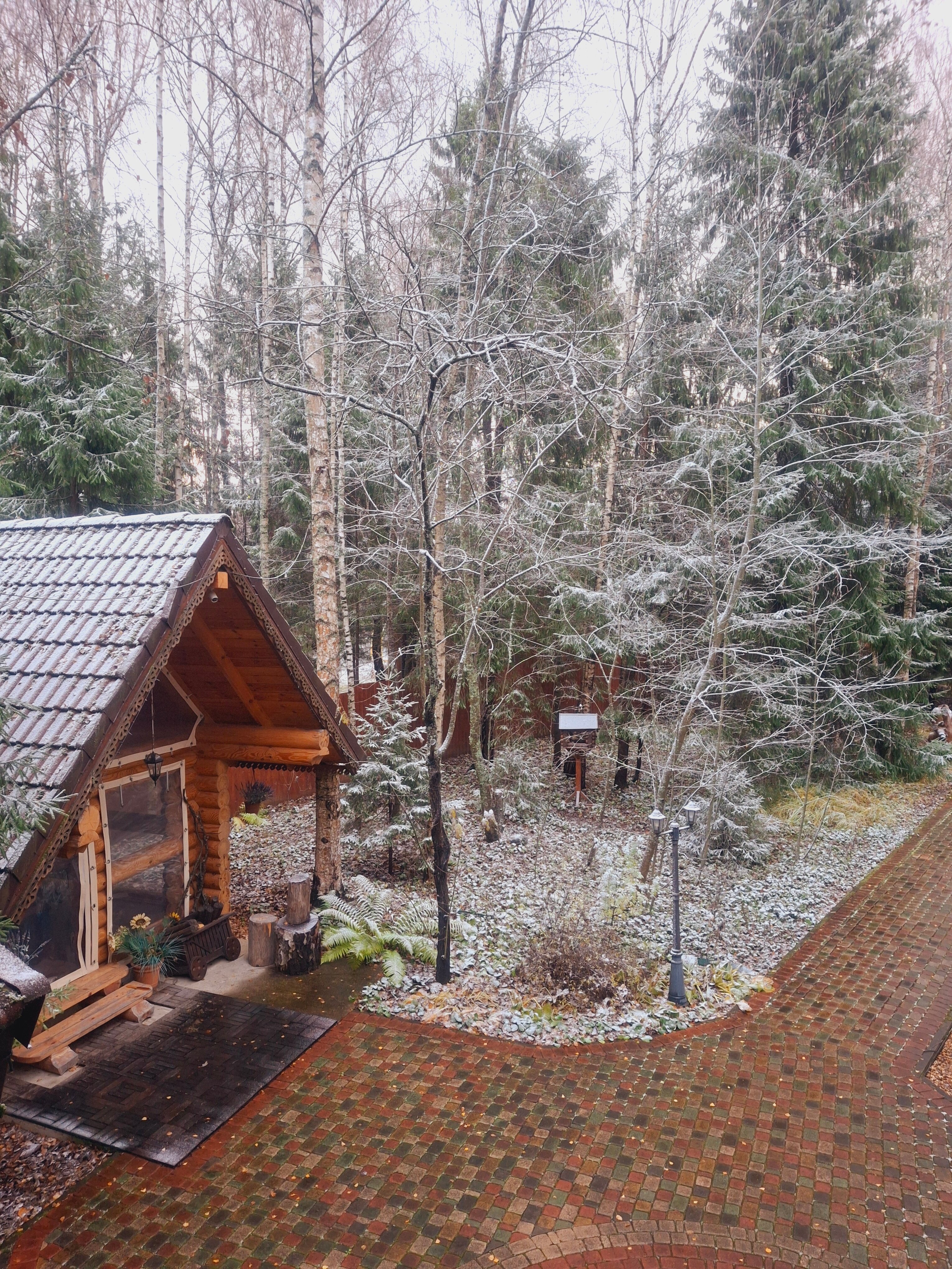 Фото Дикий Лис