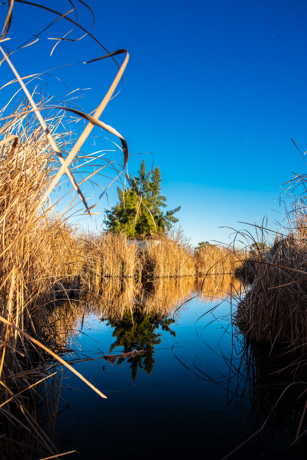 Фото Colina Verde Golf & Sports Resort