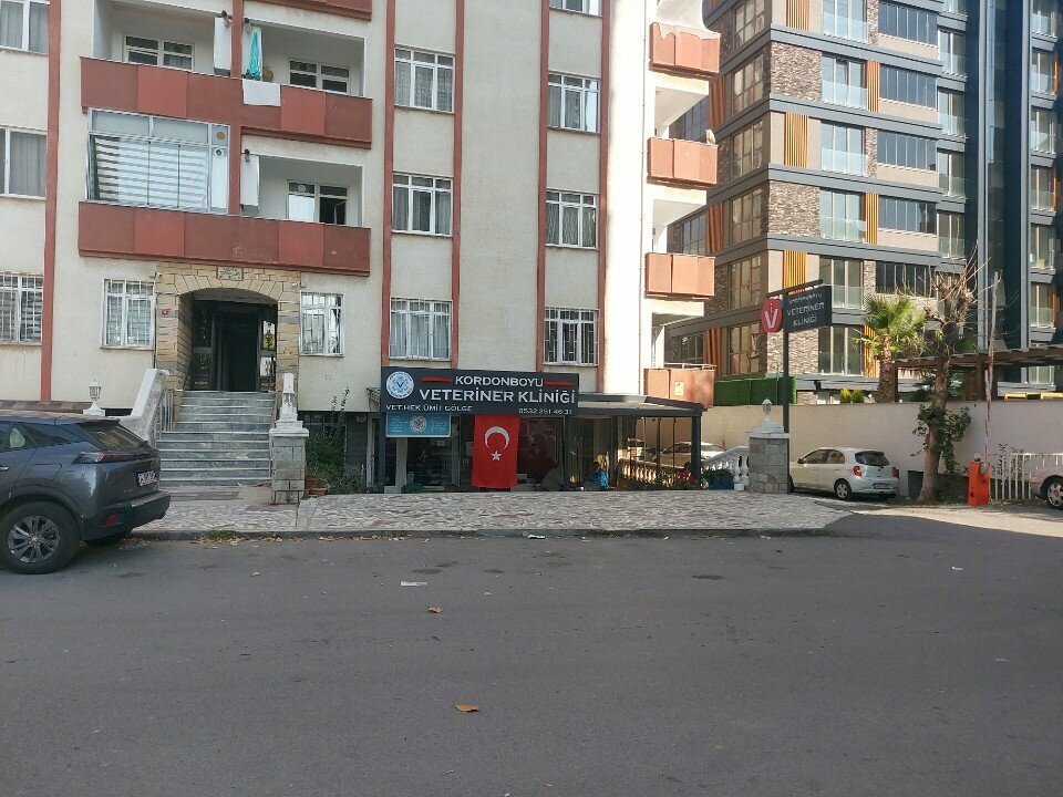 Veterinary clinic Kordonboyu Veterinary Clinic Veterinarian Umit Golge, Istanbul, photo