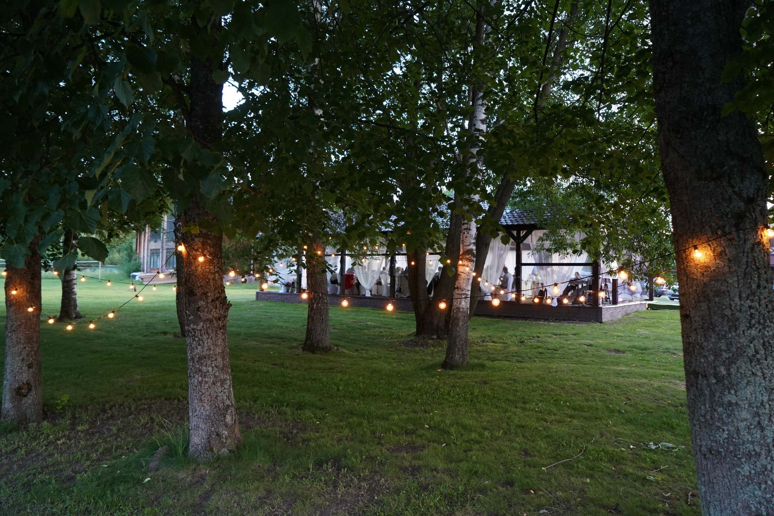 Фото Завидово Резорт